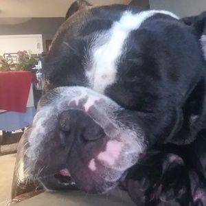 Meet your Posher, William